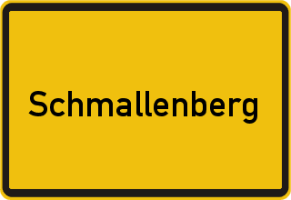Unfallwagen verkaufen Schmallenberg