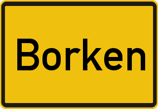 Unfallwagen verkaufen Borken-Hessen
